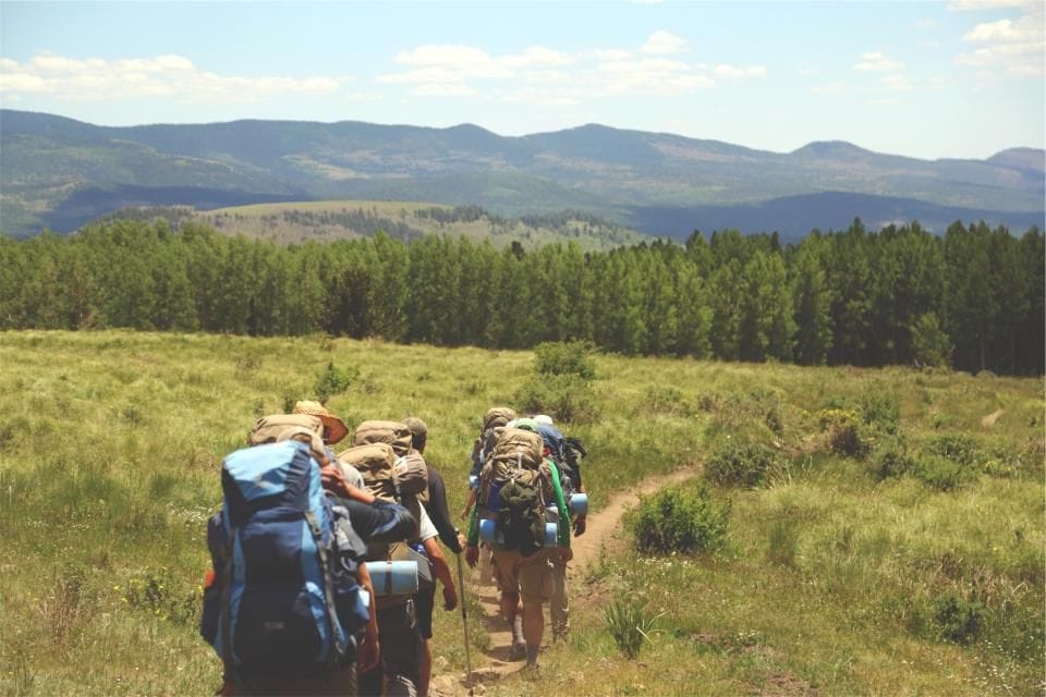 A line of hikers crossing a wide meadow toward a pine forest