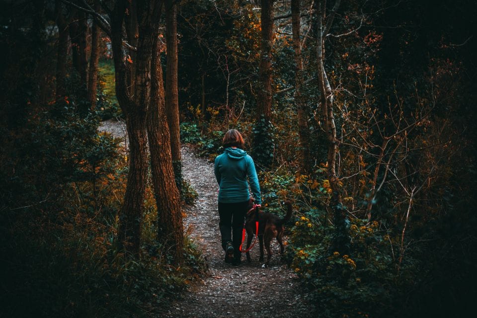 A hiker walking a narrow path through dark woods