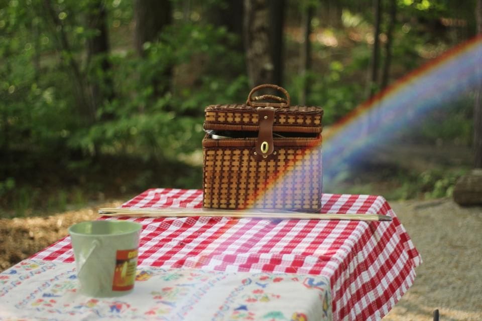 A wicker picnic basket on a checked tablecloth under the trees