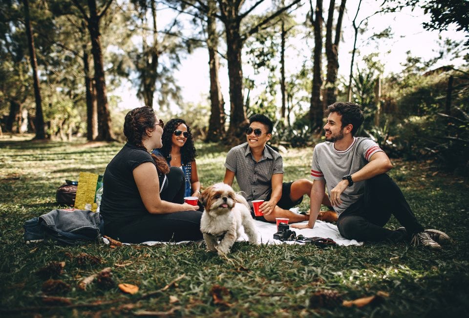 Friends sitting on the grass under trees with a small dog