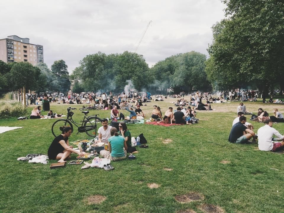 Dozens of people on picnic blankets across a sunny park lawn