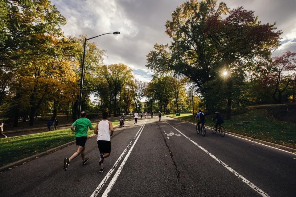 Runners on a tree-lined park road in the morning sun