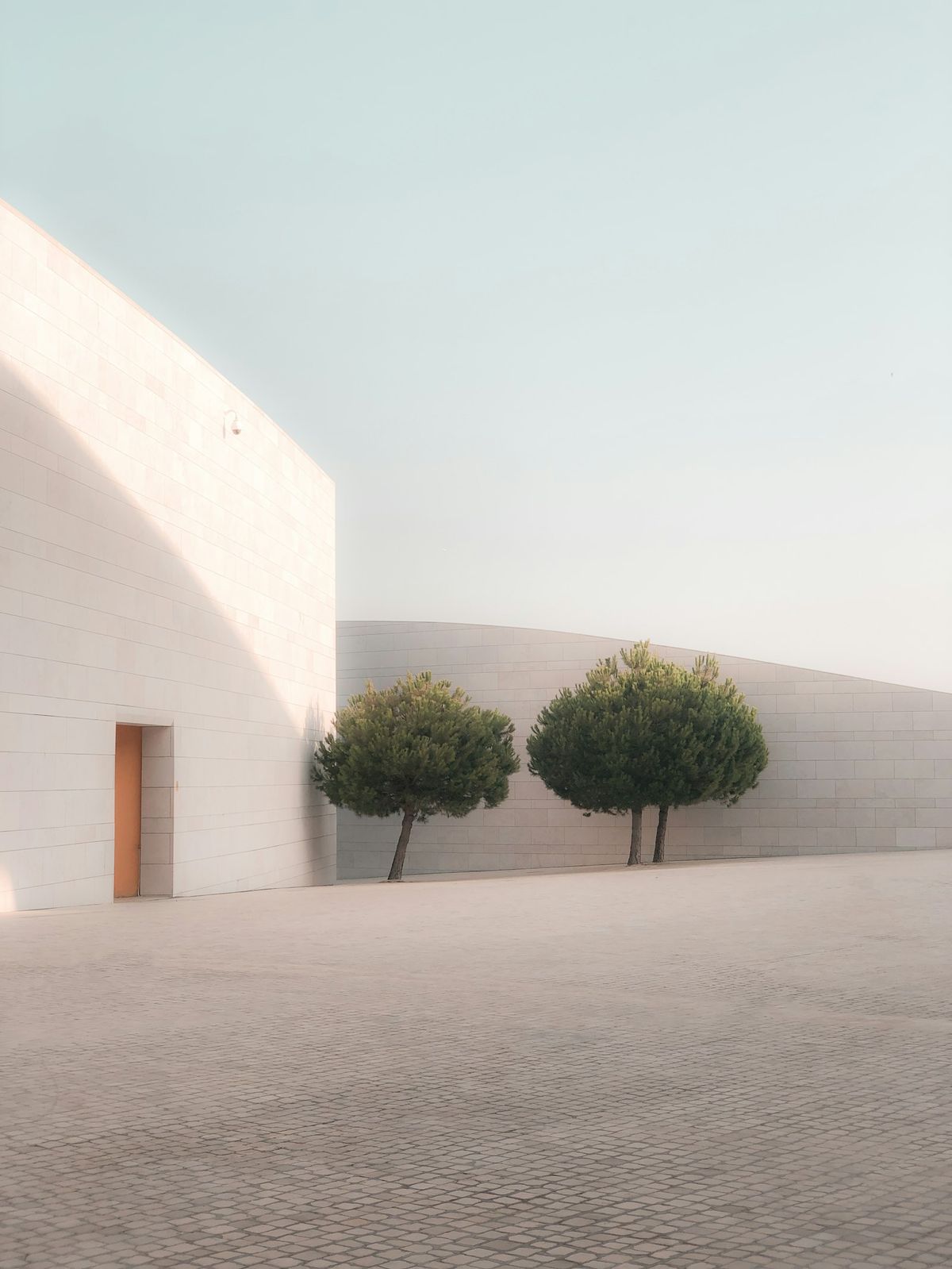 A white courtyard house with two trimmed trees in soft morning light
