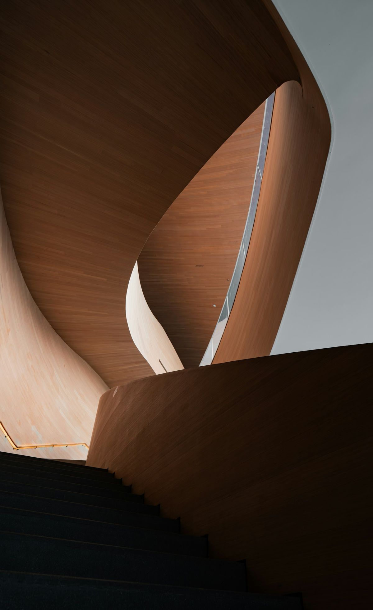 A curved timber stair spiraling up inside a building