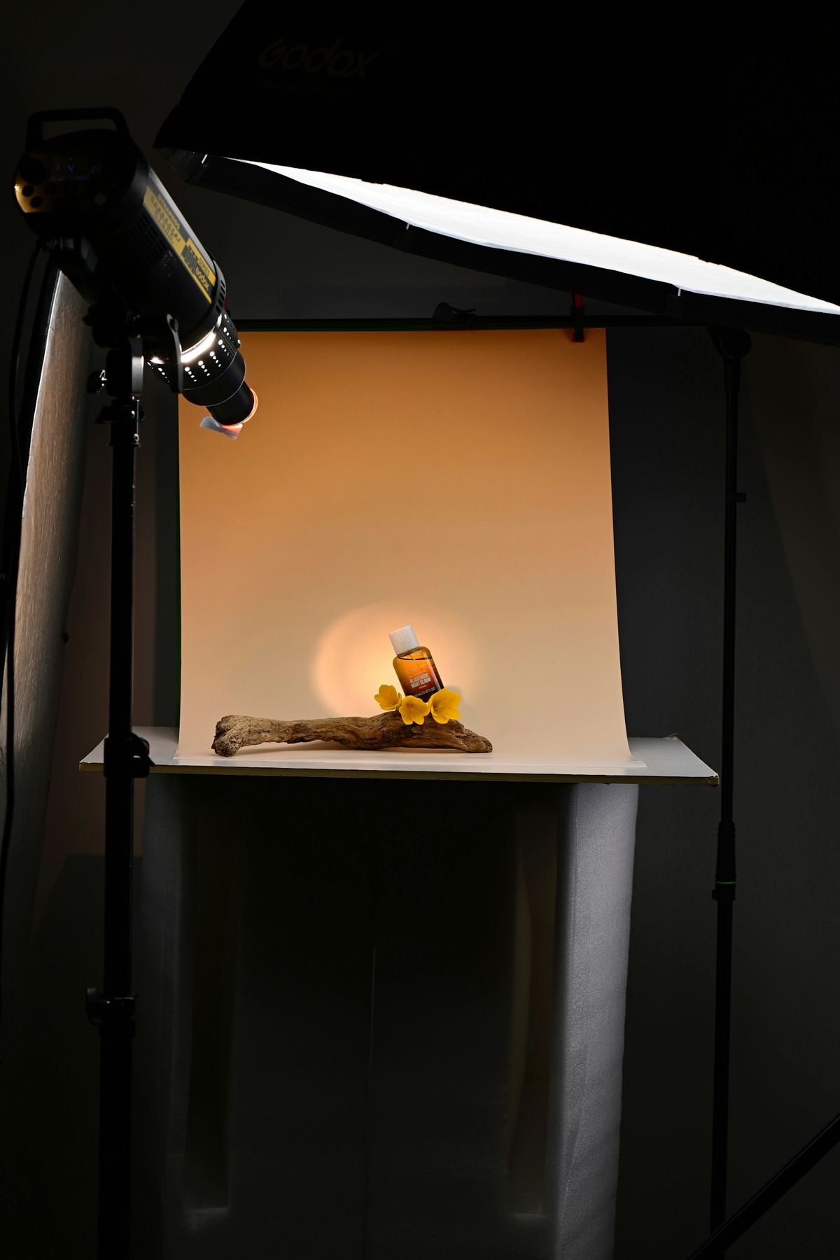 A small object on driftwood under a spotlight on a studio set