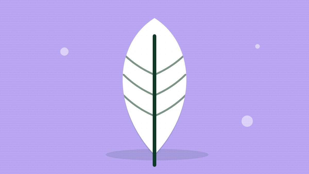 A big white leaf on a lilac background