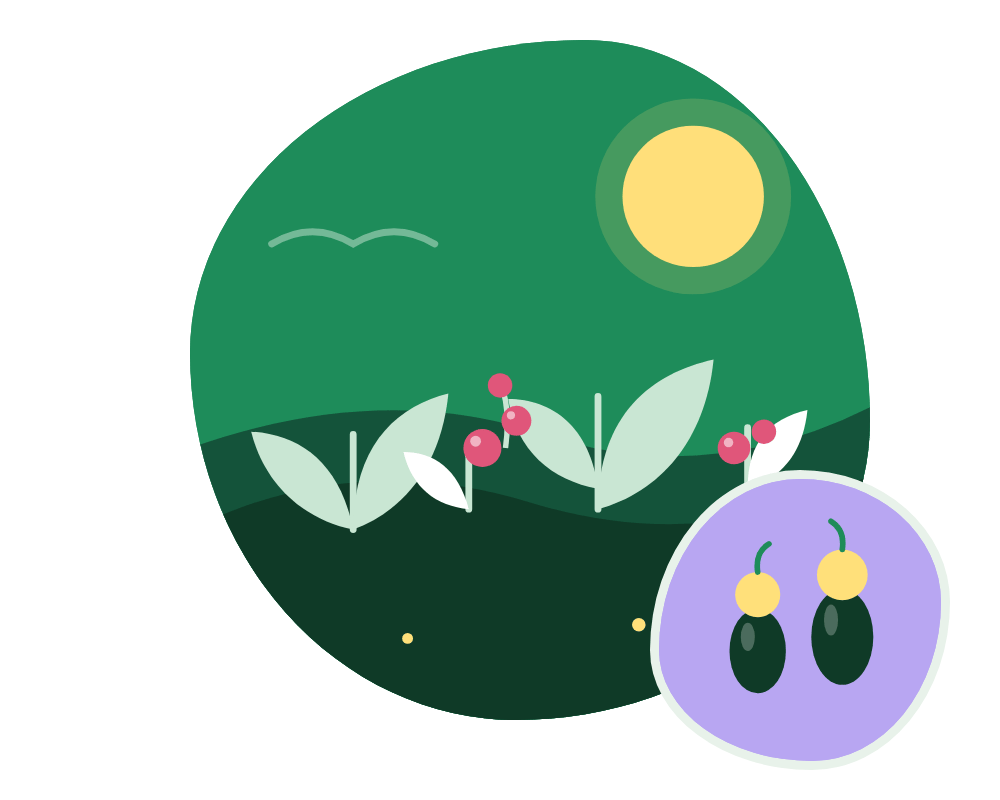 A cut-paper garden: a green hill under a yellow sun, white leaves, pink berries and a lilac seed pod