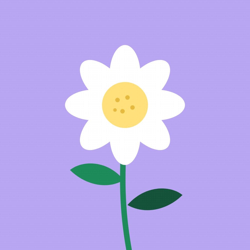 A white flower with a yellow center on lilac