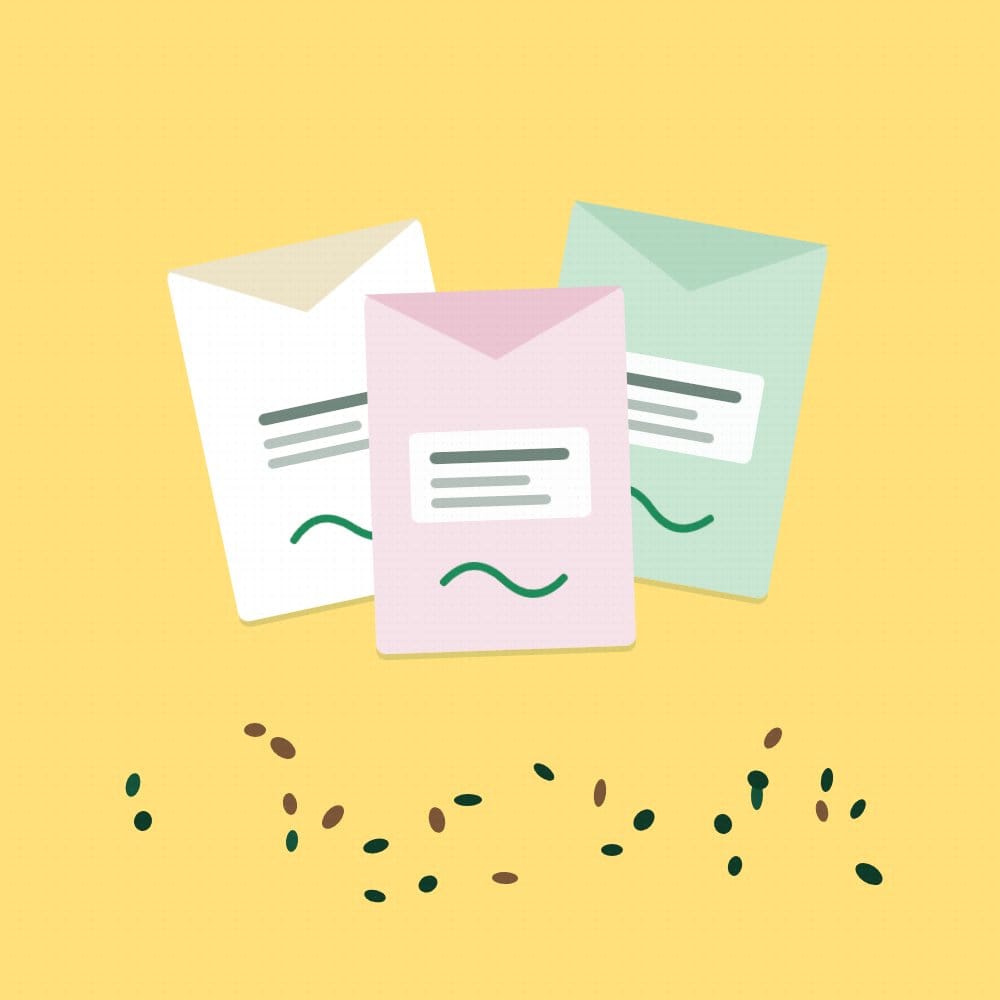 Seed envelopes and loose seeds on yellow