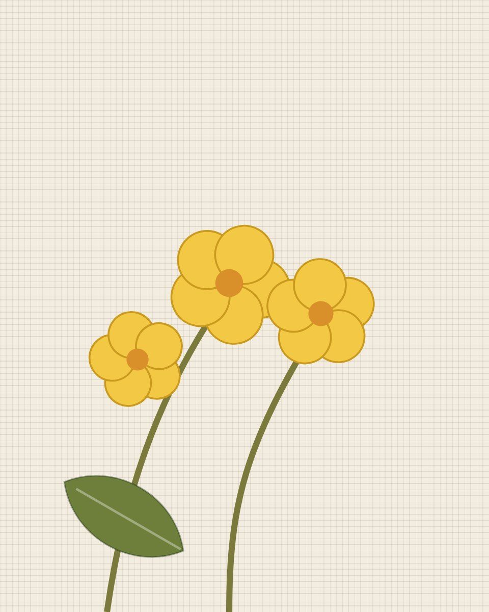 Two pressed yellow buttercups on pale linen paper