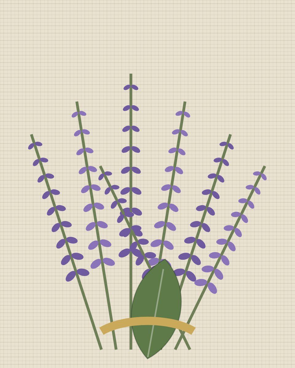 A bundle of pressed lavender stems tied with gold on handmade paper